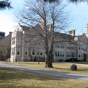 纽约大学