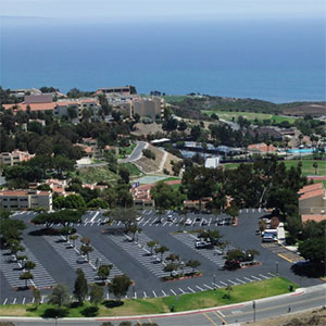 佩珀代因大学
