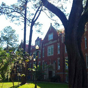 佛罗里达大学