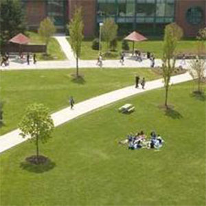 宾汉顿大学