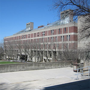 纽约州立大学环境科学和林业学院
