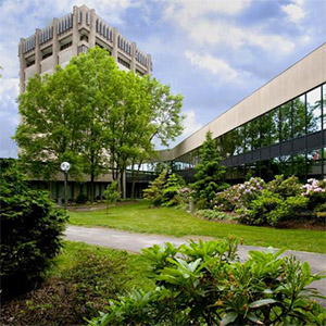 布鲁克大学