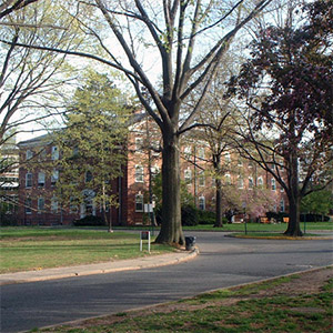 新布伦瑞克大学